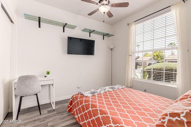 6156 W Del Rio St, Chandler, AZ 85226 - bedroom featuring wood finished floors, baseboards, ceiling fan, and a closet