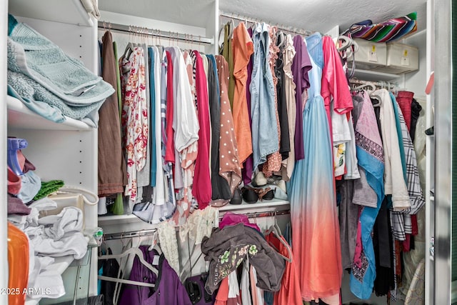 1500 N Sunview Pkwy Unit 81, Gilbert, AZ 85234 - view of walk in closet