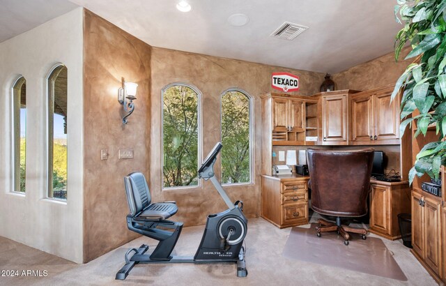 home office featuring light carpet