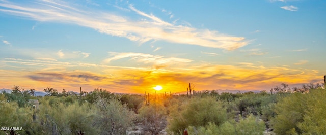 view of nature at dusk