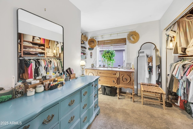 spacious closet with light carpet