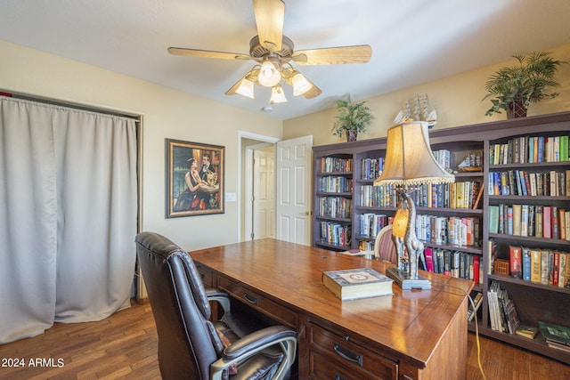 office featuring ceiling fan and dark hardwood / wood-style flooring