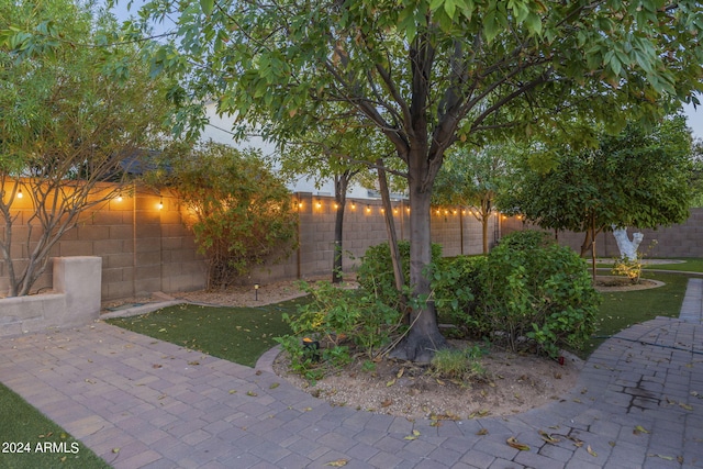 view of yard featuring a patio