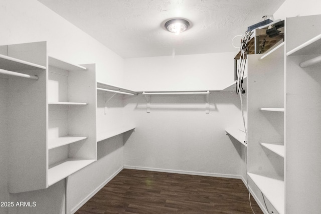 walk in closet featuring dark hardwood / wood-style floors