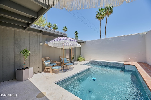 view of pool with a patio