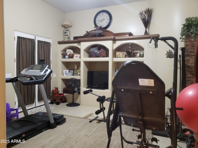 exercise area with carpet flooring