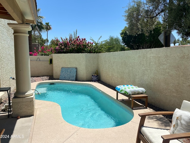 view of swimming pool featuring a patio area