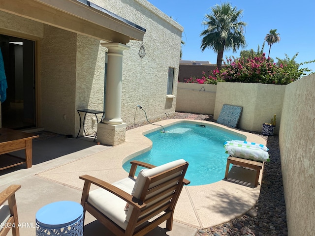 view of pool featuring a patio area