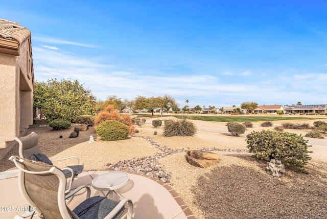 view of yard with a patio