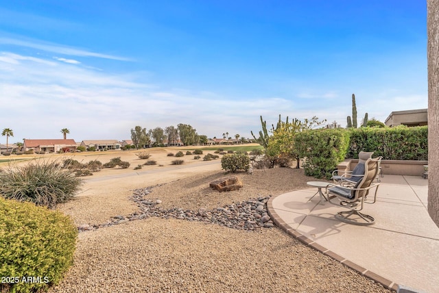 view of yard featuring a patio area