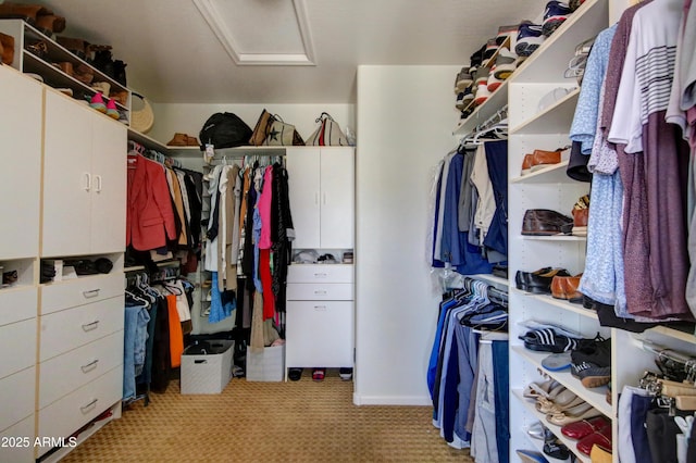 1707 E Carob Dr, Chandler, AZ 85286 - spacious closet featuring carpet and attic access