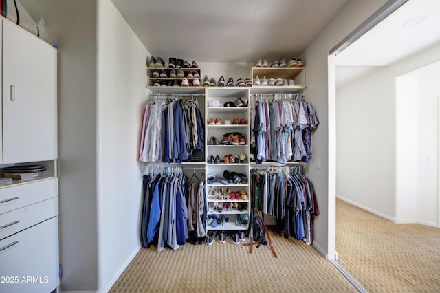 1707 E Carob Dr, Chandler, AZ 85286 - spacious closet with carpet