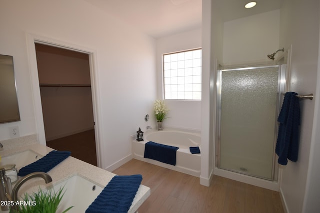 28377 N Desert Native St, San Tan Valley, AZ 85143 - bathroom with a stall shower, wood finished floors, a bath, vanity, and a spacious closet