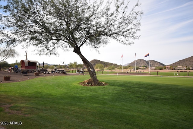 28377 N Desert Native St, San Tan Valley, AZ 85143 - surrounding community with a mountain view and a lawn