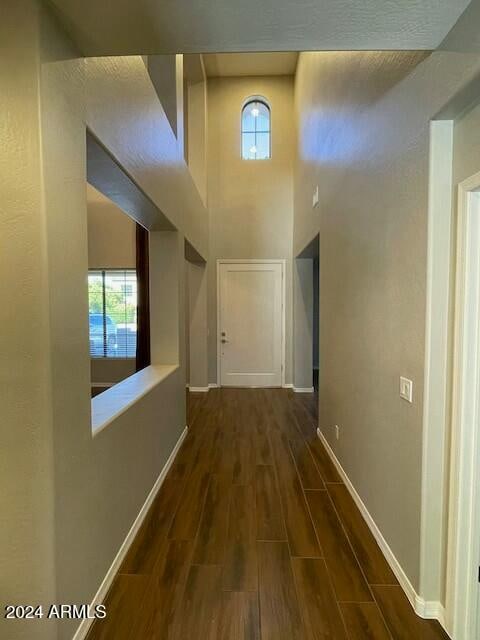 hallway featuring a high ceiling and dark hardwood / wood-style flooring