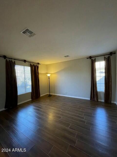 spare room featuring a healthy amount of sunlight and dark wood-type flooring