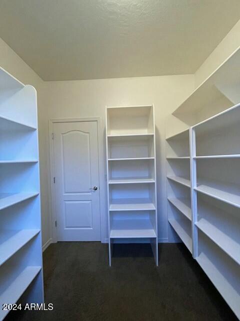 spacious closet with dark carpet