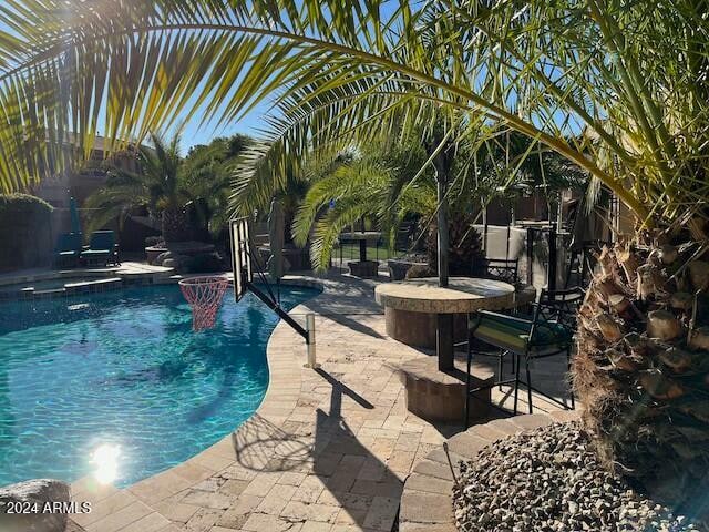 view of swimming pool with a patio