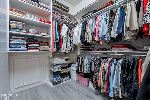 walk in closet with hardwood / wood-style flooring