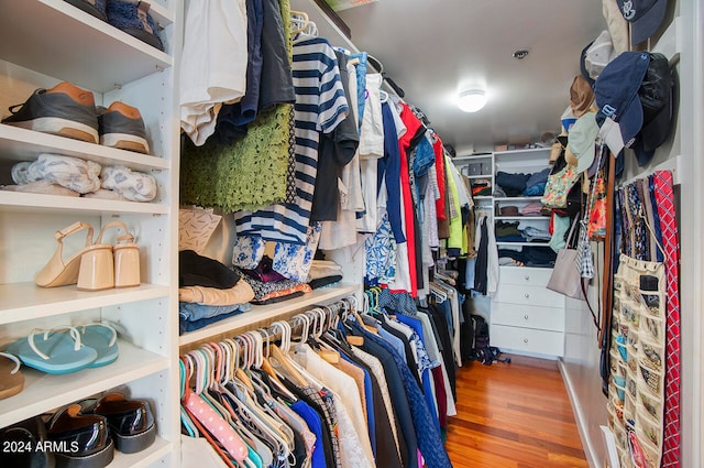 spacious closet with hardwood / wood-style flooring