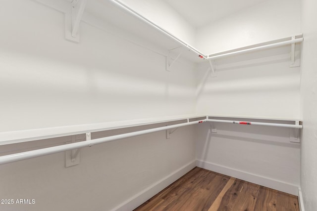 spacious closet featuring dark wood-type flooring