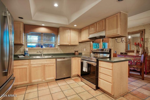 kitchen with a sink, light brown cabinets, under cabinet range hood, and stainless steel appliances