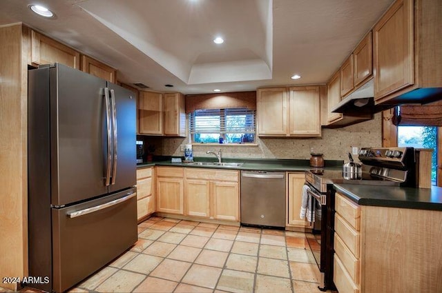 kitchen with a raised ceiling, dark countertops, appliances with stainless steel finishes, and a sink