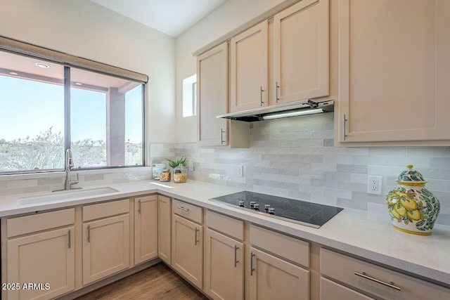 16248 E Ridgeline Dr, Fountain Hills, AZ 85268 - kitchen with light countertops, under cabinet range hood, black electric stovetop, and a sink