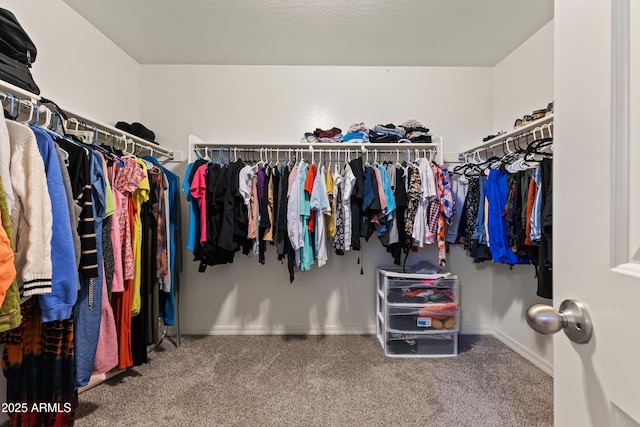 spacious closet featuring carpet
