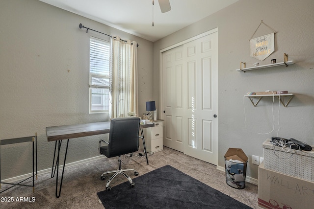 office featuring ceiling fan and carpet floors