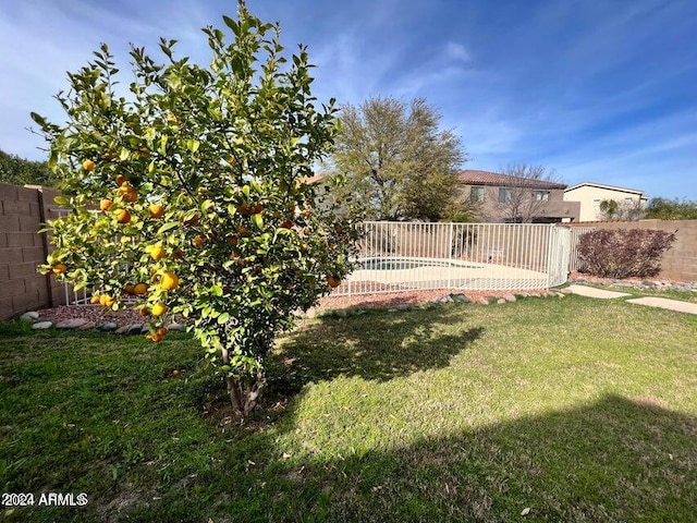 view of yard featuring a patio