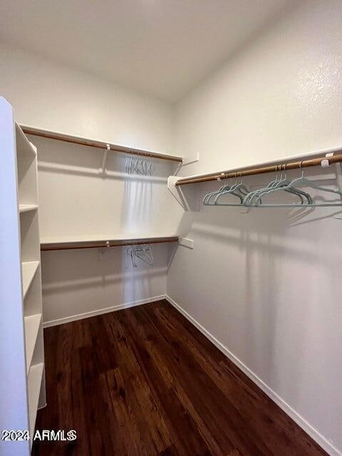 spacious closet featuring wood-type flooring