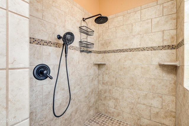 room details with tiled shower