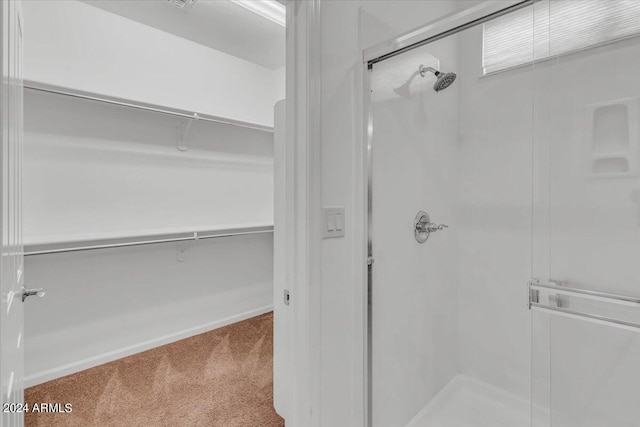 bathroom featuring walk in shower