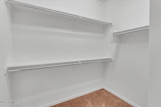 spacious closet with carpet floors