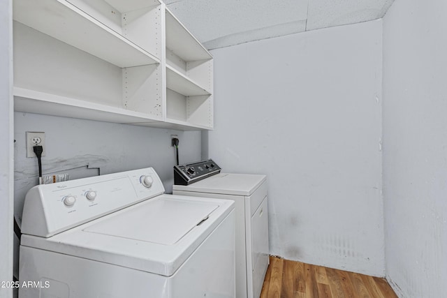 clothes washing area featuring washer and dryer, laundry area, and light wood-style flooring