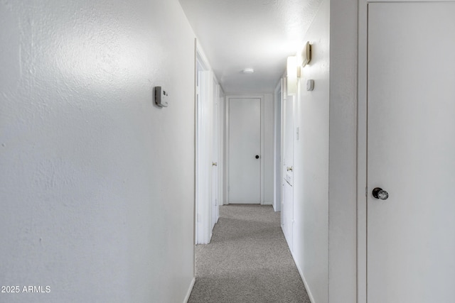 hallway with light colored carpet