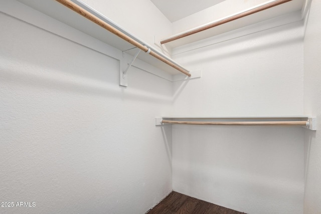 spacious closet with dark wood-style floors