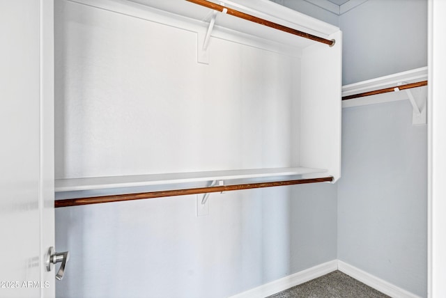 spacious closet with carpet flooring
