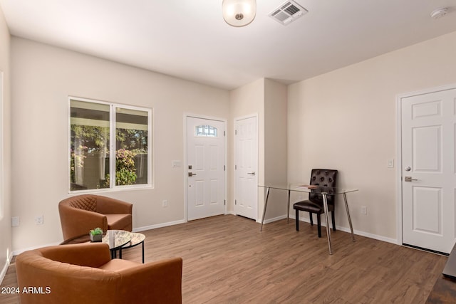 foyer entrance with wood-type flooring