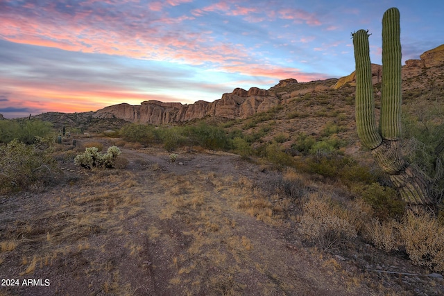 Listing photo 3 for 0 N Cortez Rd Lot 2, Apache Junction AZ 85119