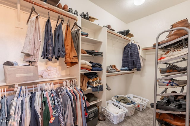 1635 E Harrison St, Chandler, AZ 85225 - spacious closet featuring carpet flooring