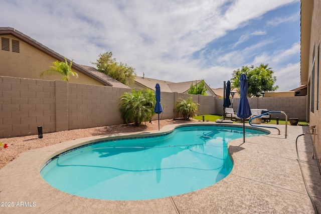 1635 E Harrison St, Chandler, AZ 85225 - view of pool with a fenced backyard and a patio area