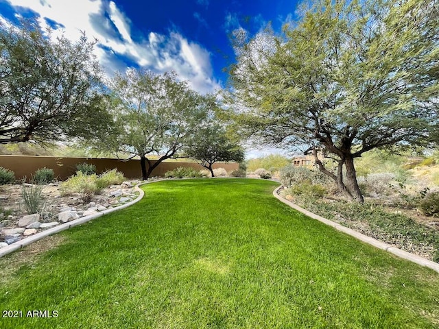18507 N 94th St, Scottsdale, AZ 85255 - view of yard