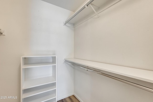 walk in closet with wood-type flooring