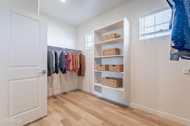 645 N Vine St, Chandler, AZ 85225 - spacious closet with wood finished floors