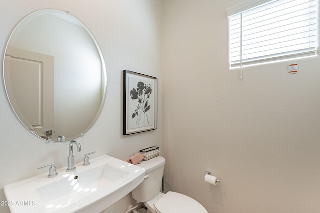 645 N Vine St, Chandler, AZ 85225 - bathroom featuring a sink and toilet