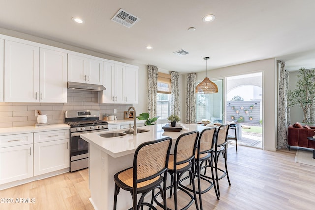 645 N Vine St, Chandler, AZ 85225 - kitchen with stainless steel range with gas stovetop, under cabinet range hood, a sink, light wood-type flooring, and tasteful backsplash