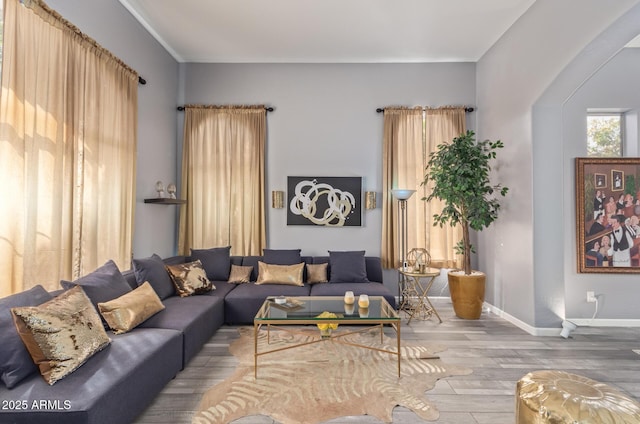 living area featuring baseboards, wood finished floors, and arched walkways