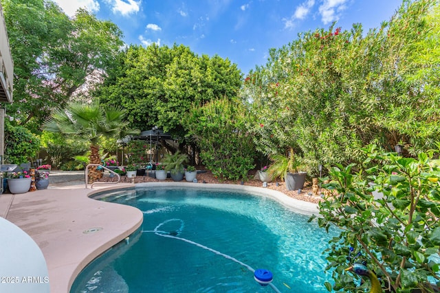 pool featuring a patio area